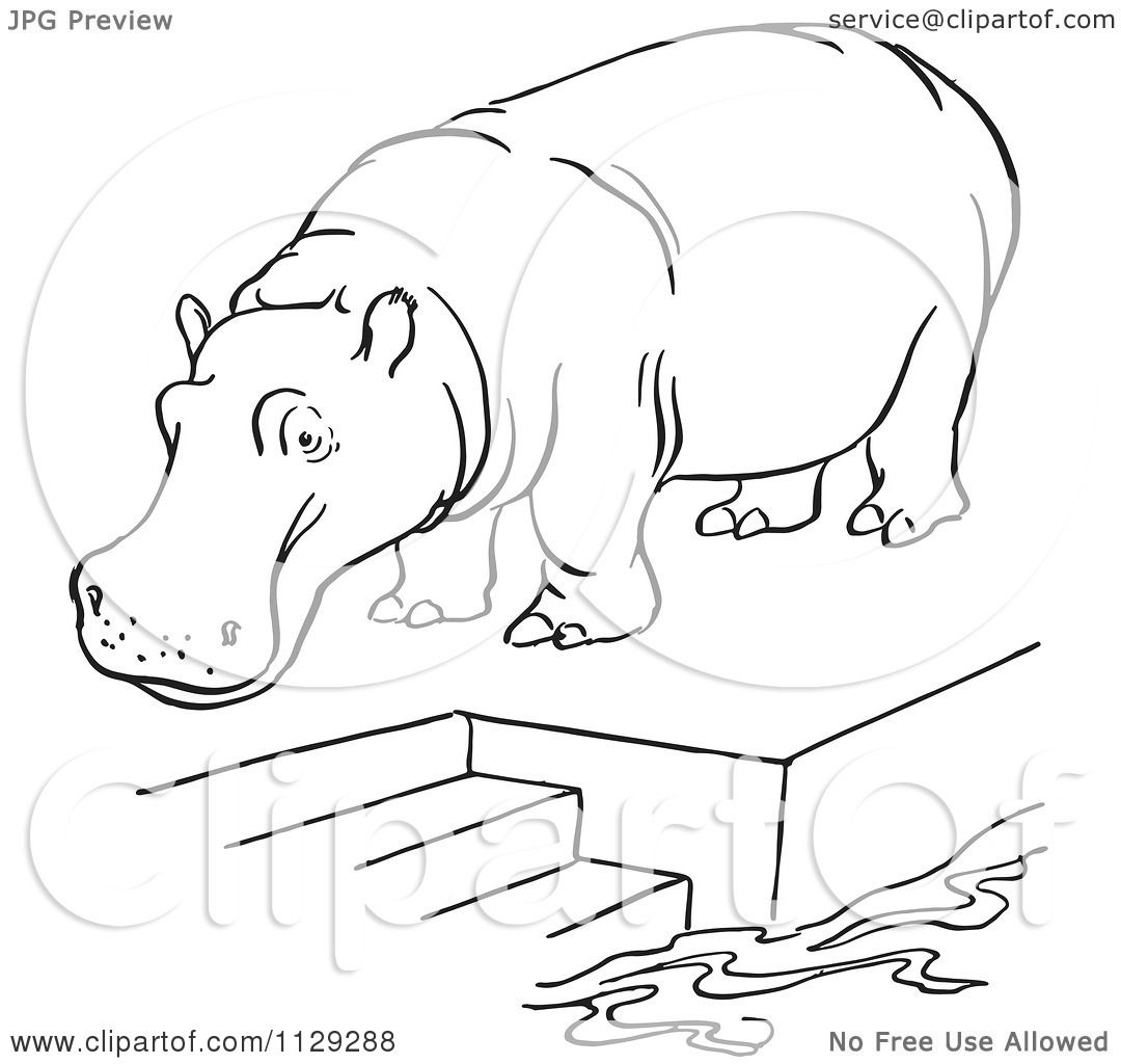 1080x1024 Cartoon Clipart Of An Outlined Zoo Hippo On A Pool Platform