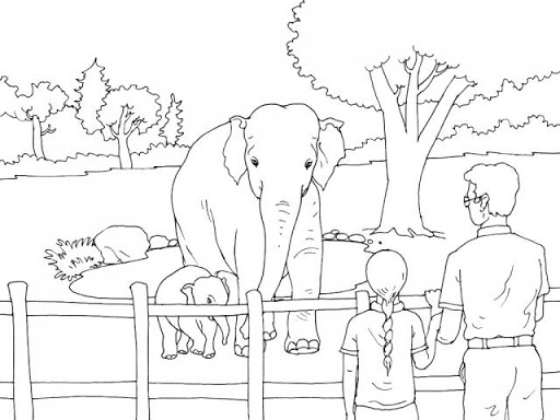 512x384 Zoo Drawings To Color
