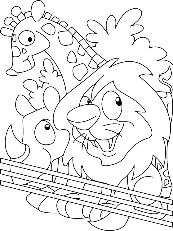 558x742 Coloring Pages For Animal Lovers