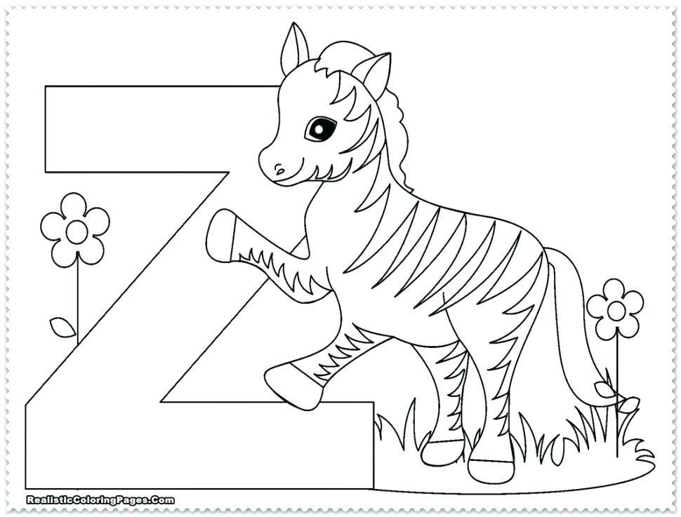 970x737 Simple Zoo Coloring Pages New Of Animals For Preschool On Free