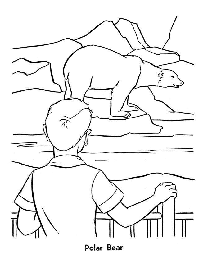 670x820 Zoo Animal Coloring Pages Polar Bears Exhibit Coloring Page
