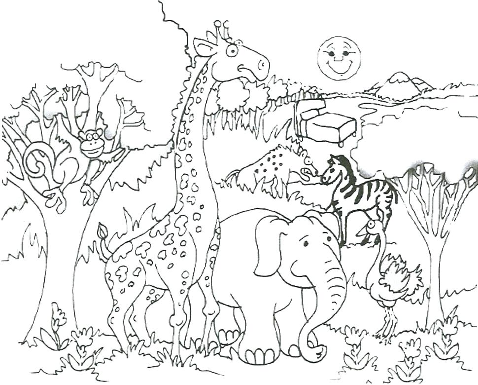 970x780 Zoo Animals Coloring Pictures Large Size Of Zoo Animals Coloring