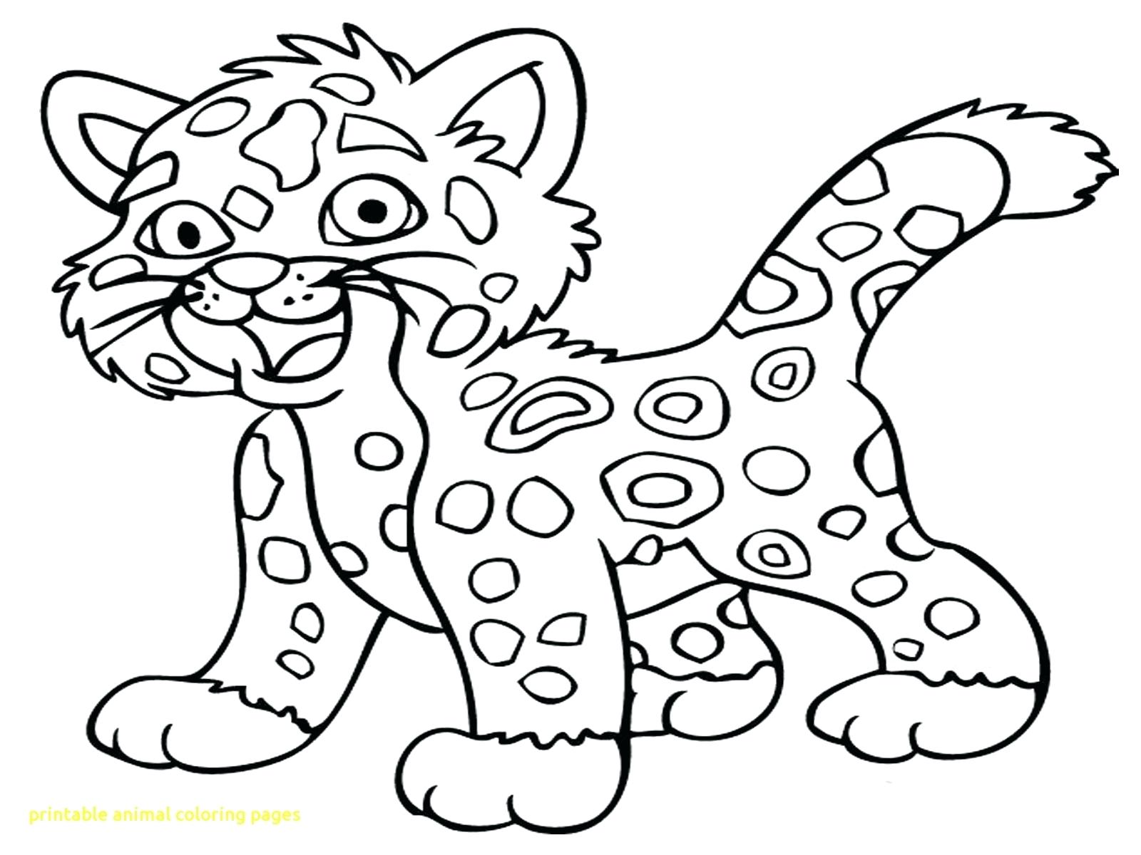 1600x1200 Printable Zoo Animals Matching Printable Animal Coloring Pages