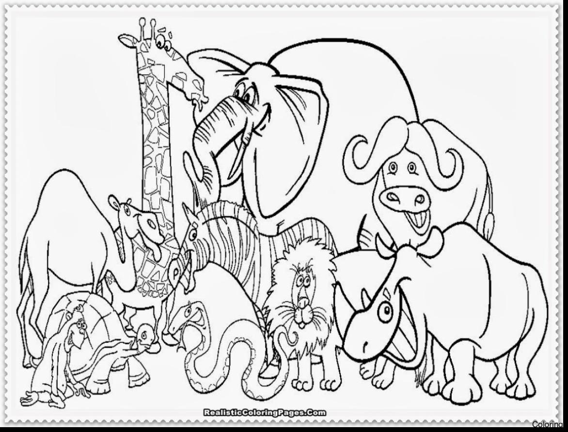 1172x891 Coloring Page Gorgeous Animal Color Sheets Zoo Pages Large Size