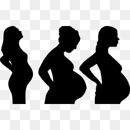 260x260 Vector Pregnant Woman Png Images Vectors And Psd Files Free