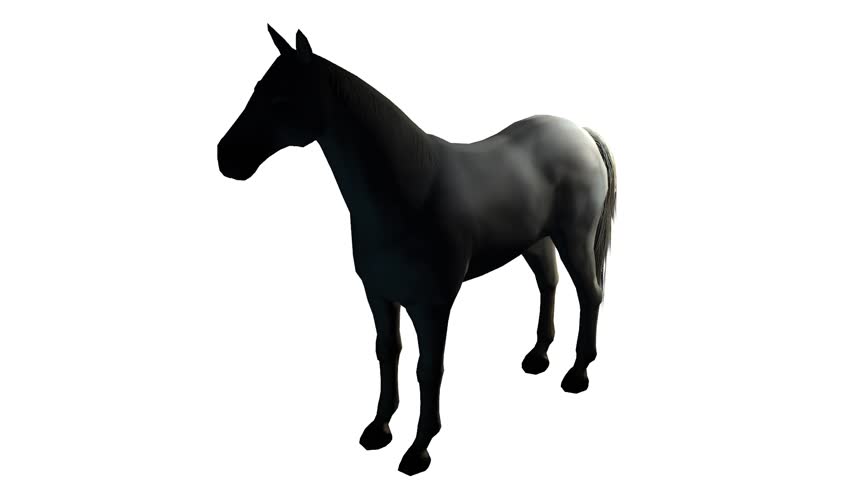 852x480 4k Dog,3d Cartoon,lovely Pet,animal Silhouette. Cg 02904 4k Stock