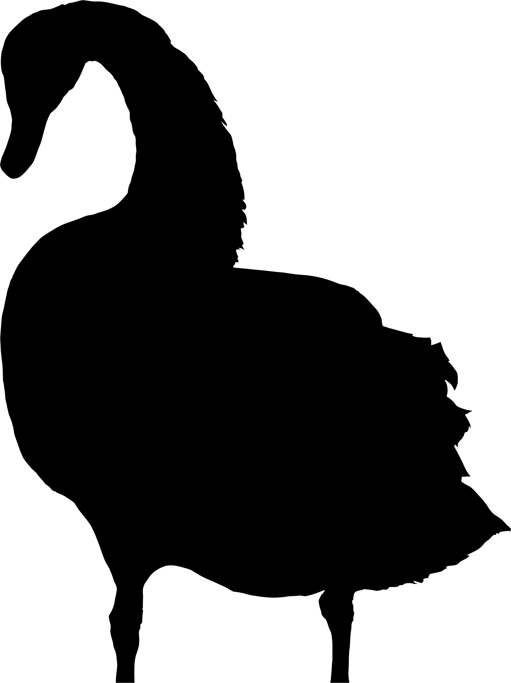 1698x2266 Swan Silhouette 4 Icons Png