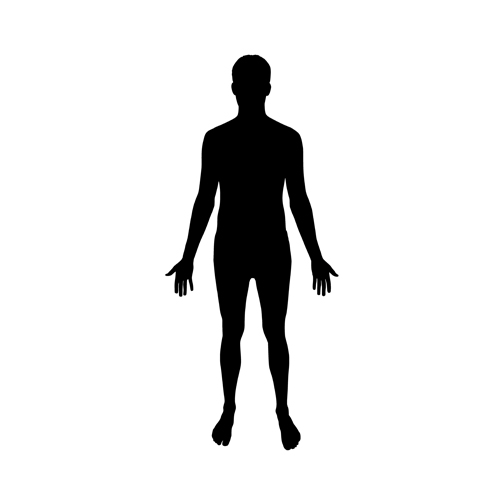 504x504 Human Body Silhouette Clipart
