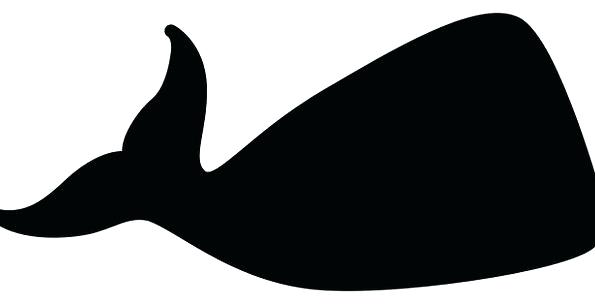 595x304 Vector Illustration Of A Blue Whale On White Background With Black