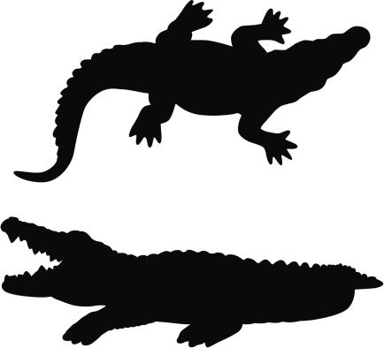 434x394 Alligator Clipart Abs For Worksheets