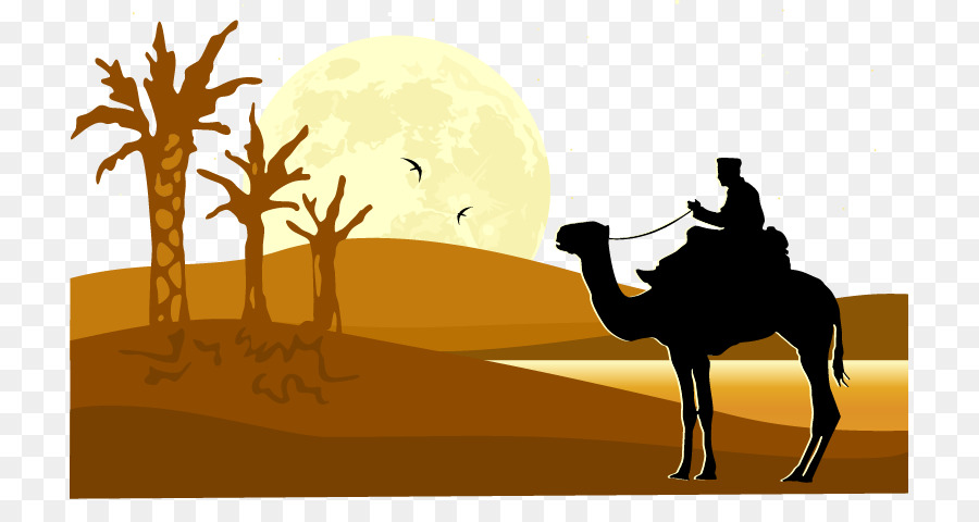 900x480 Camel Desert Silhouette Illustration