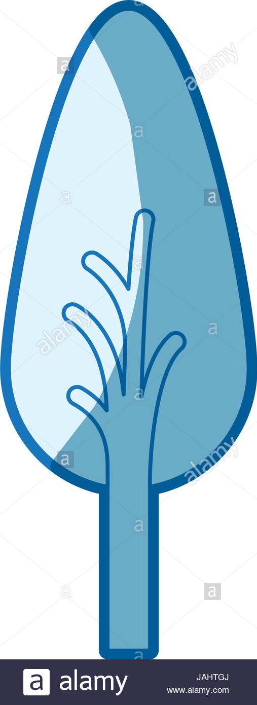 507x1390 Blue Shading Silhouette Of Abstract Tree With Foliage In Shape