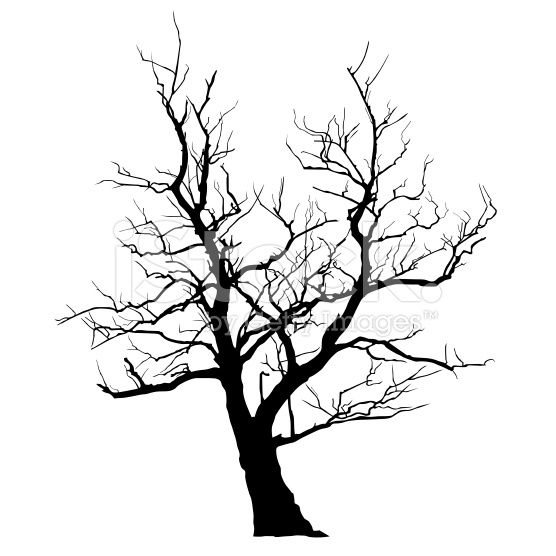 556x556 Abstract Tree Vector Art And Free Vector Art