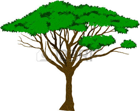 450x359 Acacia Tree Clipart Stock Vector Acacia Tree Silhouette 284921402