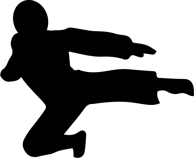 620x506 Flying Kicking Ninja Silhouette Small Acorn