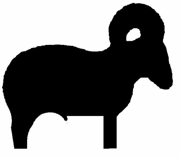 605x528 Ssaa Alice Springs