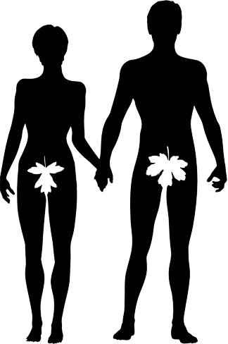 324x488 Services Brazilian Waxing Studio In Burlington, Wa Screamin