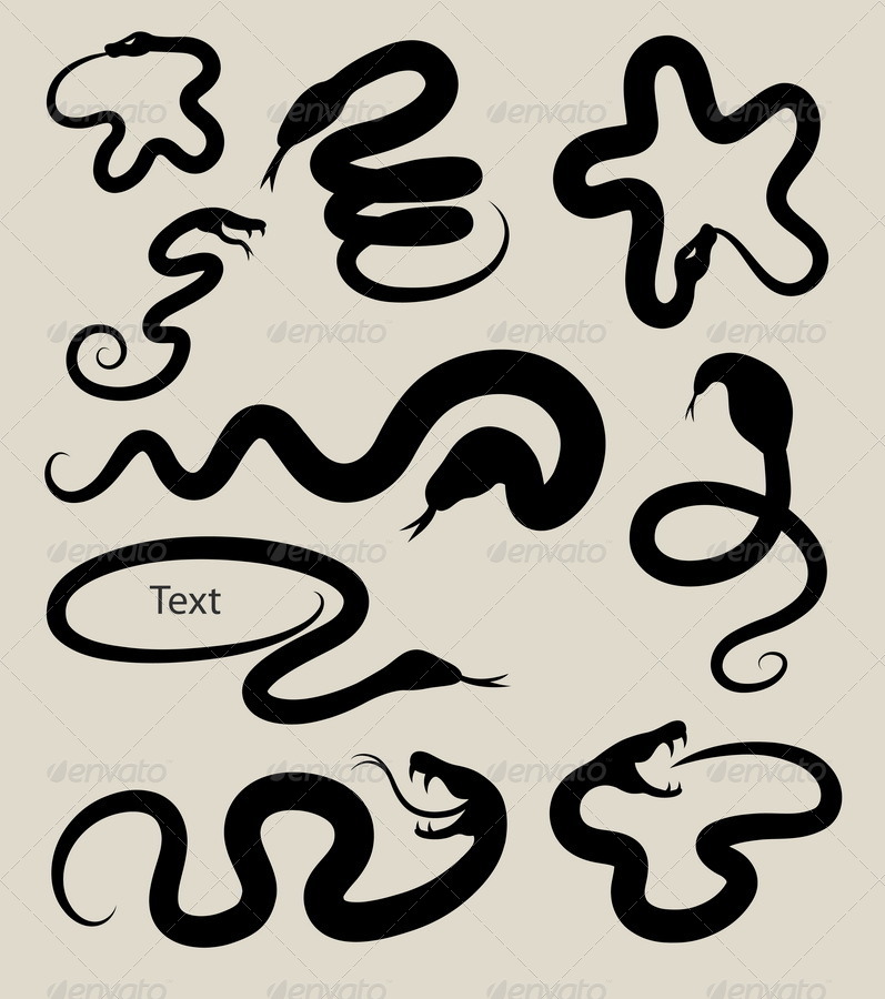 797x900 Snake Silhouette Symbols By Comicvector703 Graphicriver