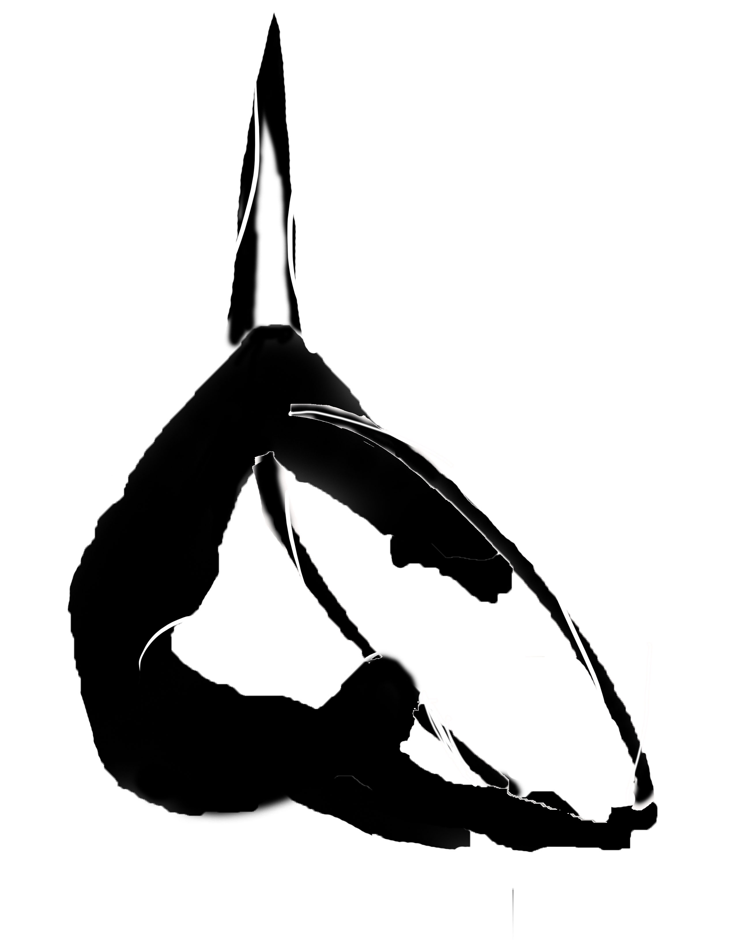 2550x3300 Aerial Hoop Silhouette