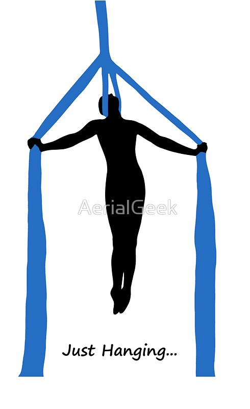 490x800 Aerial Silks