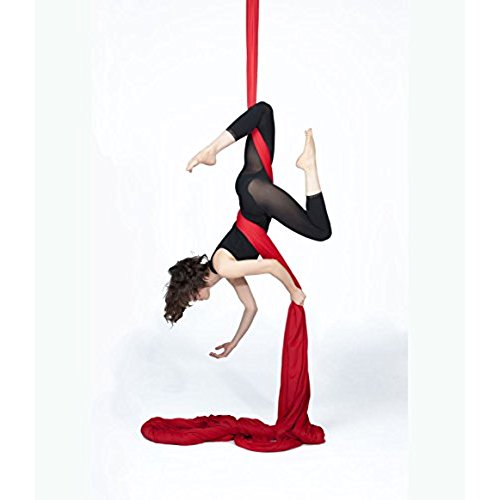 500x500 List Of Synonyms And Antonyms Of The Word Aerial Silks