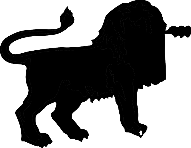 640x494 Black, Africa, Silhouette, Lion, Dangerous, Animal