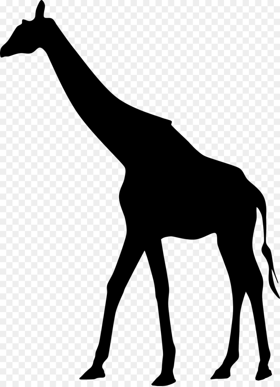 900x1240 West African Giraffe Silhouette Clip Art