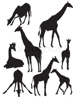 236x313 Giraffe Silhouette Vector Silhouette Clip Art