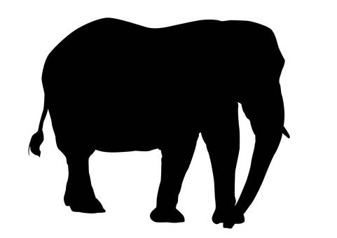 481x340 Free Cliparts Animal, Silhouette, Zoo