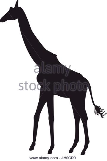 360x540 Kenya Safari Stock Vector Images