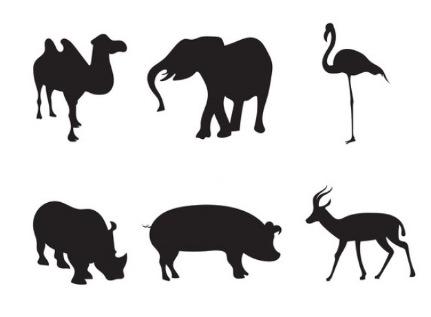 626x461 Africa Animal Silhouettes Stock Images Page Everypixel