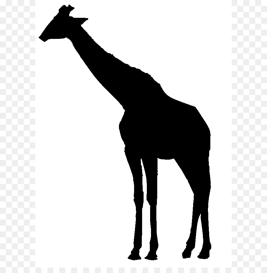 900x920 Giraffe Silhouette Clip Art