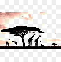 260x261 African Grasslands, Monochrome, Africa, Prairie Png Image