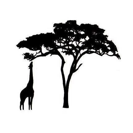 430x430 212 Best African Animal Cards Images On Silhouettes
