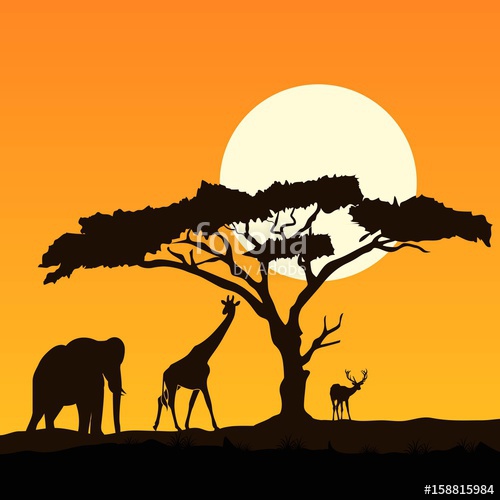 500x500 Beautiful Giraffe Silhouette Stock Image And Royalty Free Vector