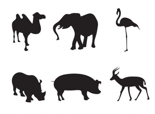 626x461 Camel Vectors, Photos And Psd Files Free Download Animal
