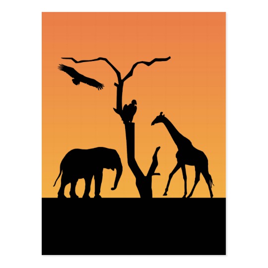 540x540 Giraffe African Silhouette Sunset Postcard