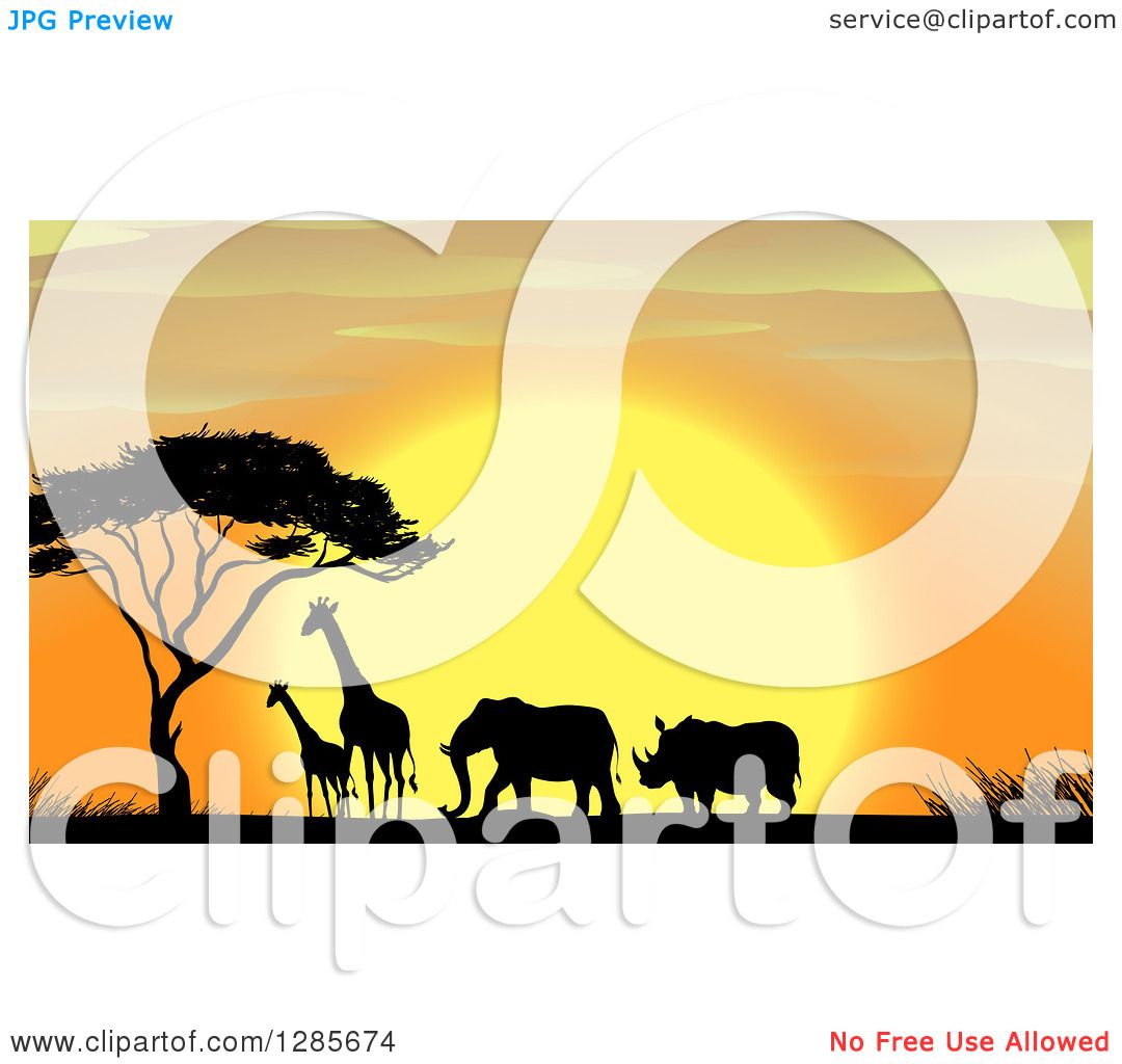 1080x1024 Clipart Of A Silhouetted Rhino, Elephant And Giraffes By A Tree