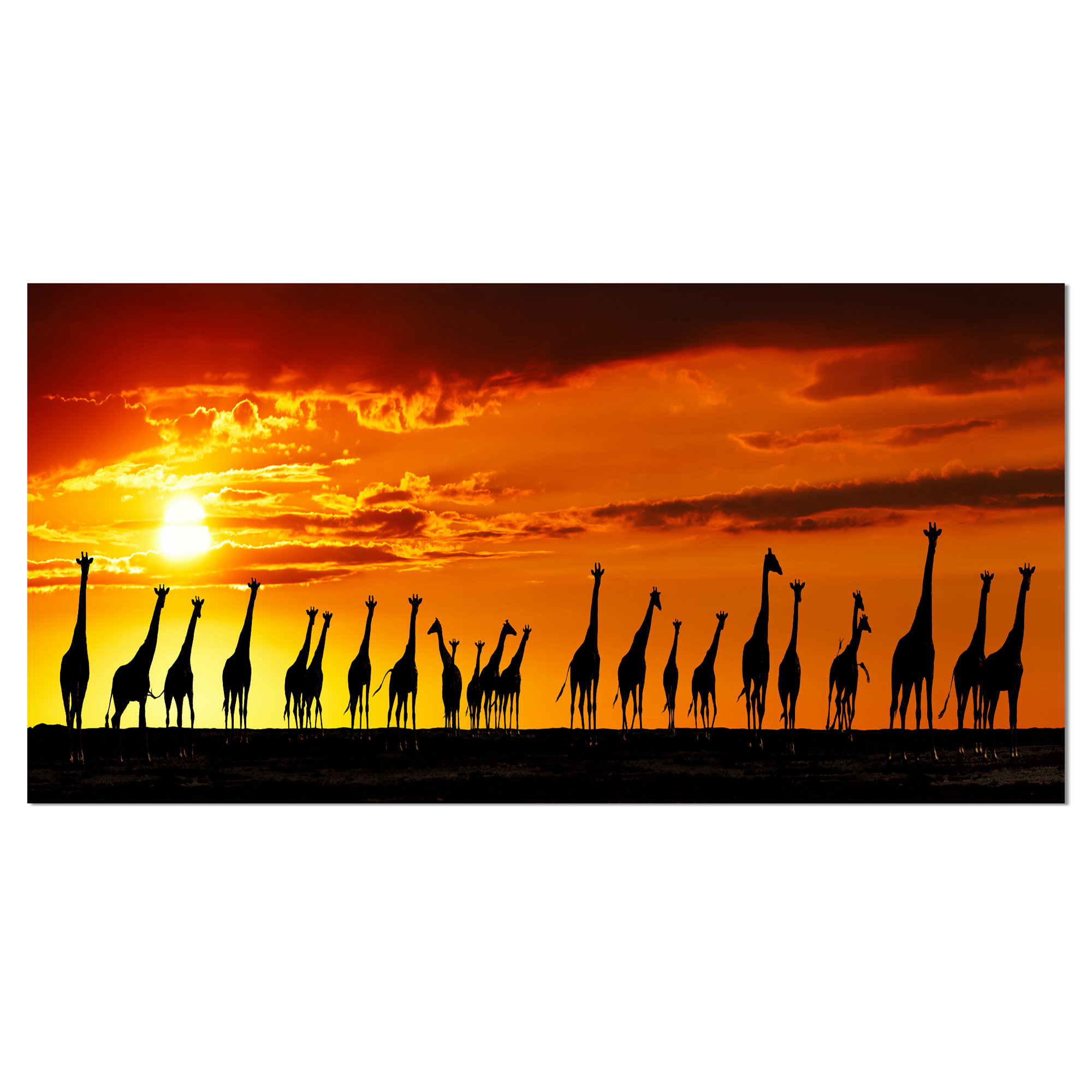 African Sunset Silhouette at GetDrawings | Free download