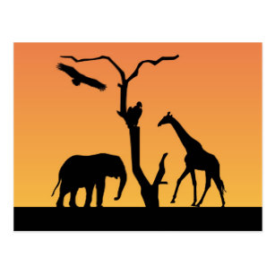 307x307 Giraffe African Sunset Silhouette Cards
