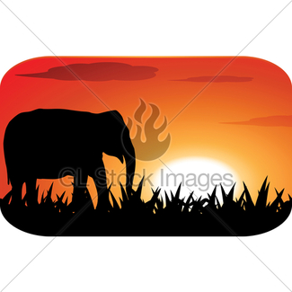 325x325 Trees Silhouette At Sunset Gl Stock Images