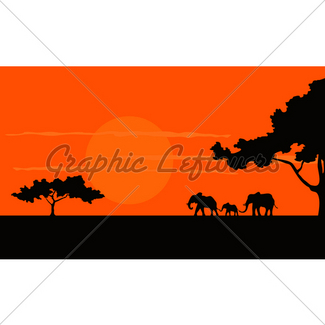 325x325 Vector Silhouette Of Acacia Tree In Safari Sunset Background Gl