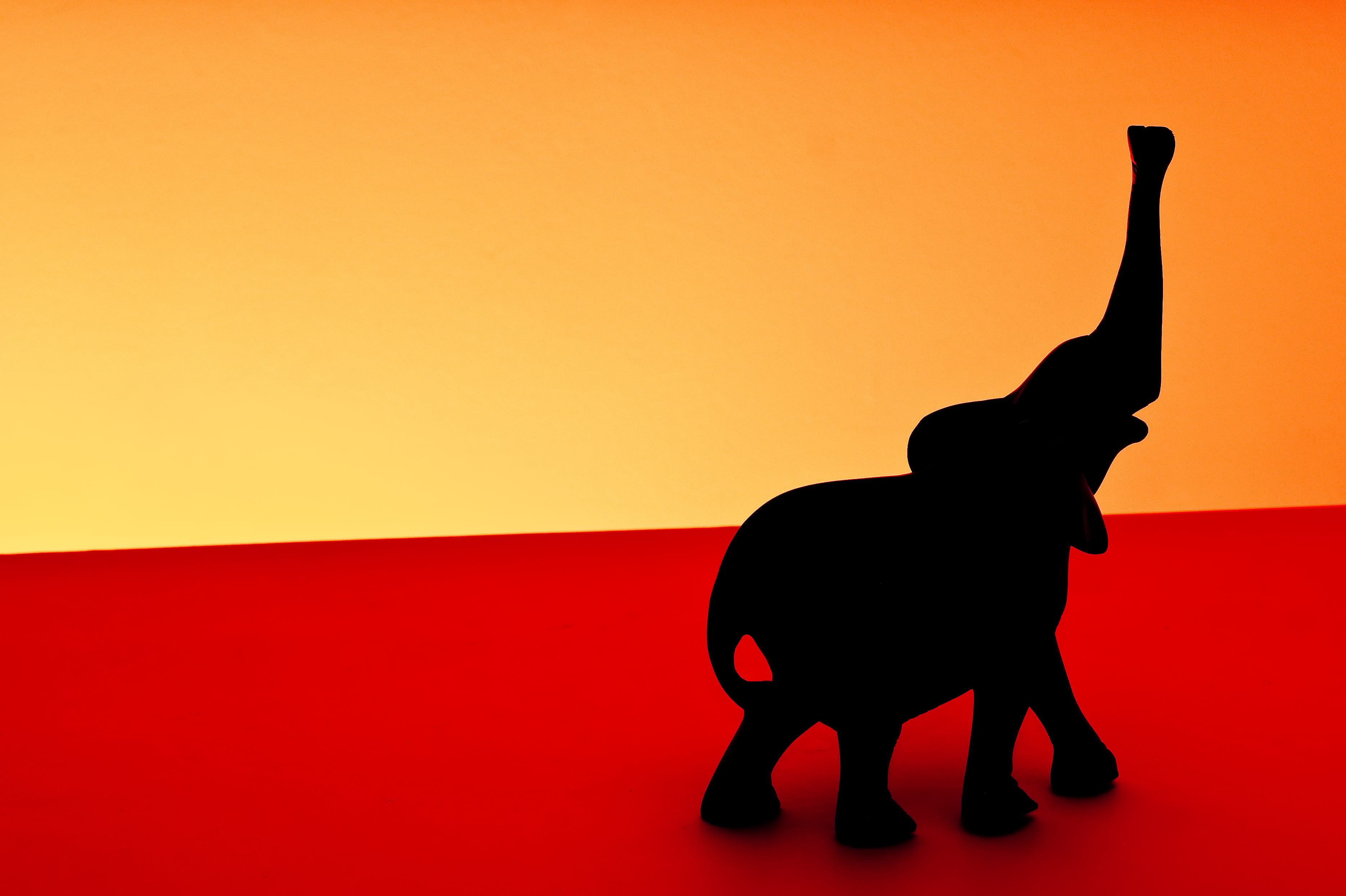 3739x2488 Wallpaper Africa, Sunset, Shadow, Red, Elephant, Black, Oneaday