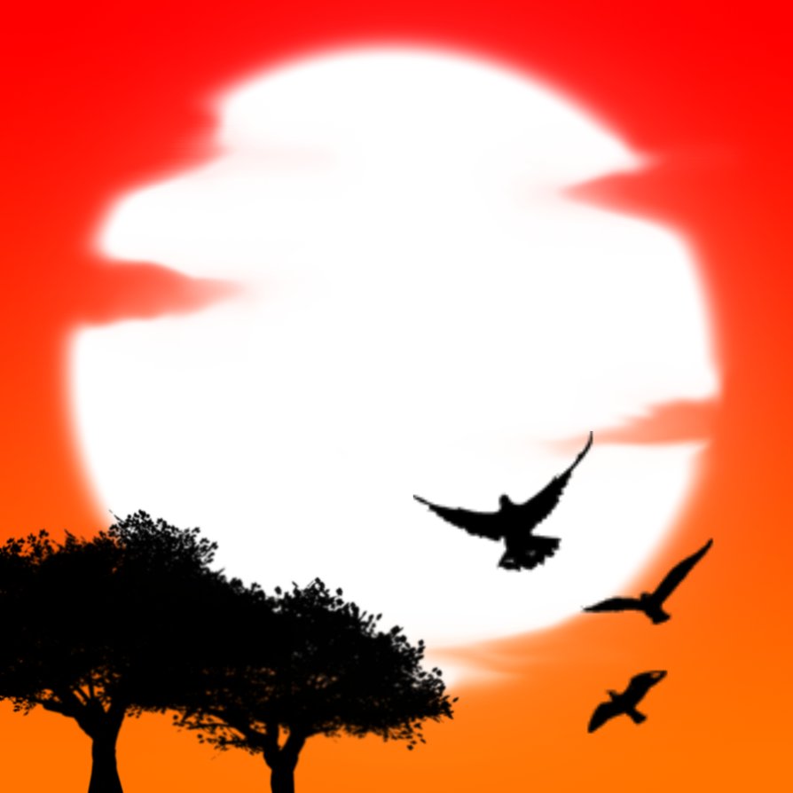 894x894 African Sunset By Carrot Cat17