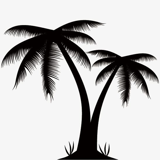 548x548 Silhouettes Of Palm Trees, Africa, African Flower, Palm Americas