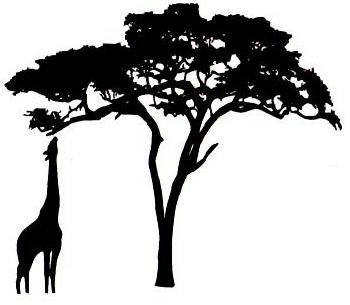 350x305 African Trees Clipart