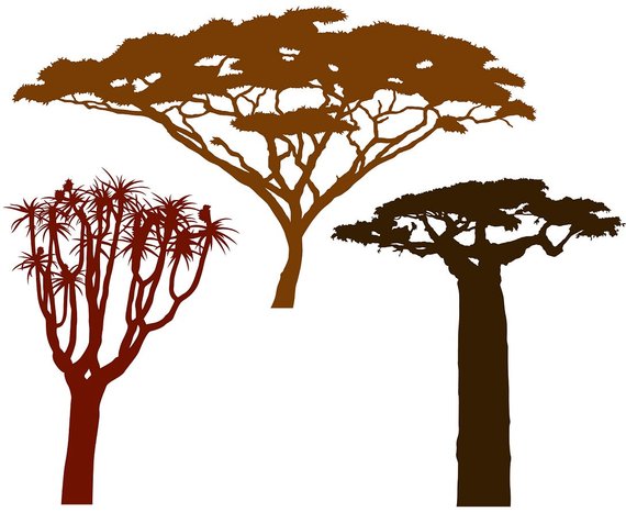 570x466 African Trees Vector File For Home Wall Decals