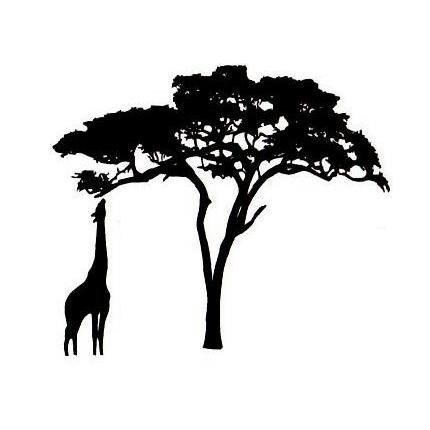 430x430 Giraffe And Acacia Tree Silhouette Um African Rubber Stamp No.17