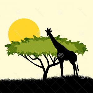300x300 Stock Illustration Acacia Tree Giraffe Silhouette Concept Design