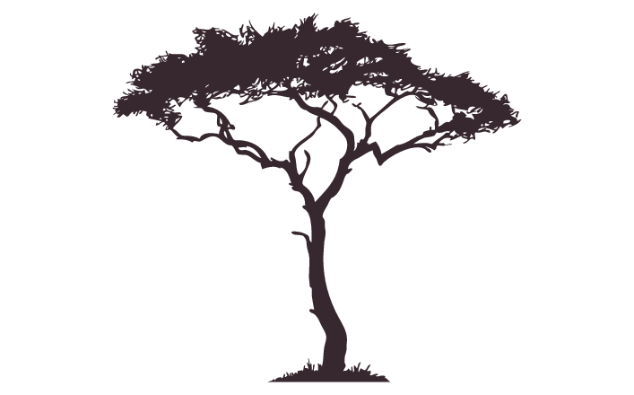 707x440 African Tree Decal